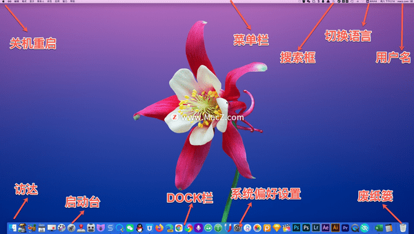 macOS电脑小白从入门到进阶（新手上手Mac详细步骤）