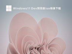 Windows11 Dev预览版iso镜像下载 V22610.1