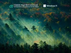 大地系统 Ghost Win11 64位 专业激活版 V2022.04